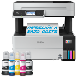 EPSON IMPRESION C11CJ88402